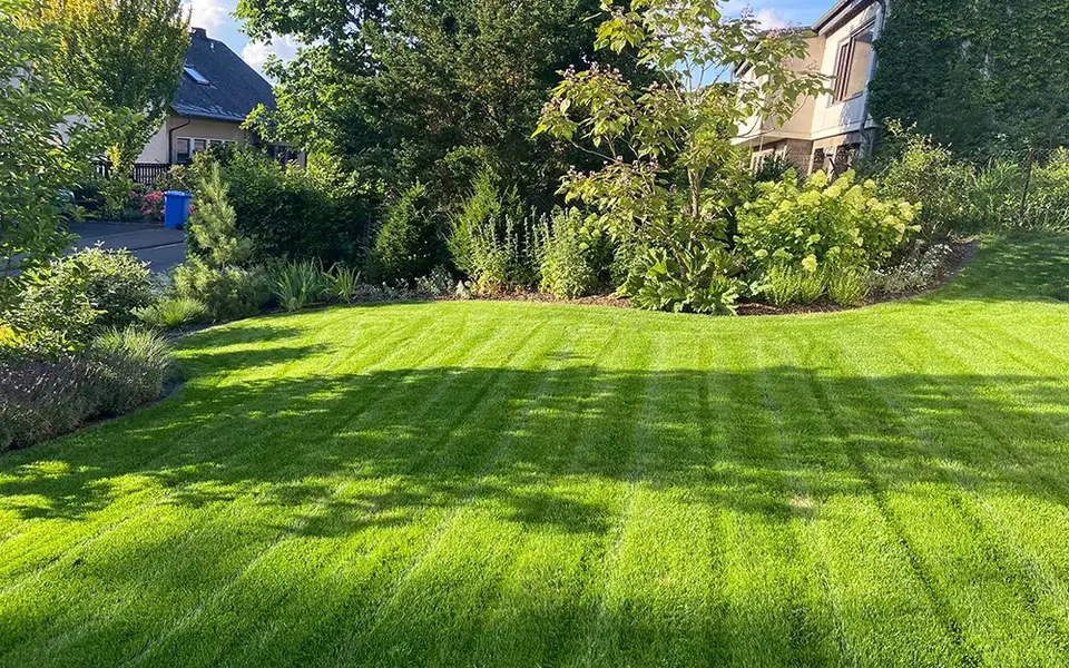 garten-wohngebiet-garten-wohngebiet-felix-schmidt